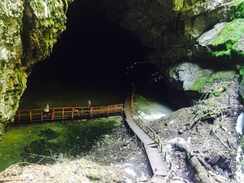 Pensiunea Alexolar Matisesti Bagian luar foto