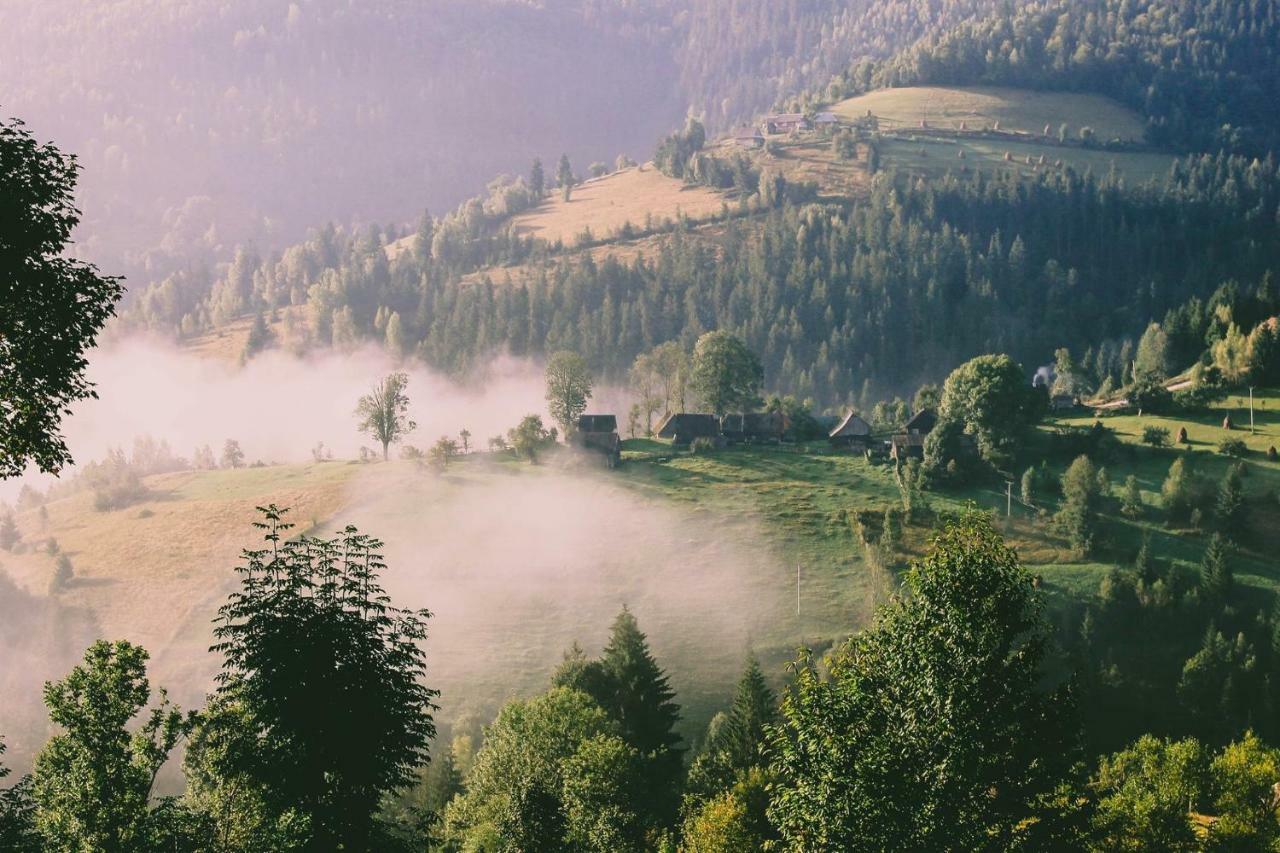 Pensiunea Alexolar Matisesti Bagian luar foto