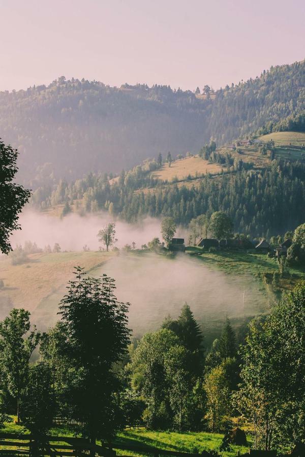 Pensiunea Alexolar Matisesti Bagian luar foto